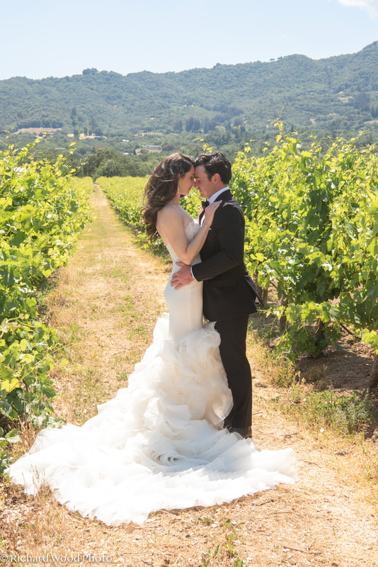 Bride and groom portraits in a Sonoma winery