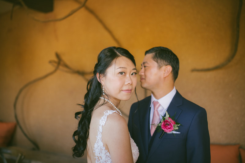 bride and groom portraits at Viansa Winery 