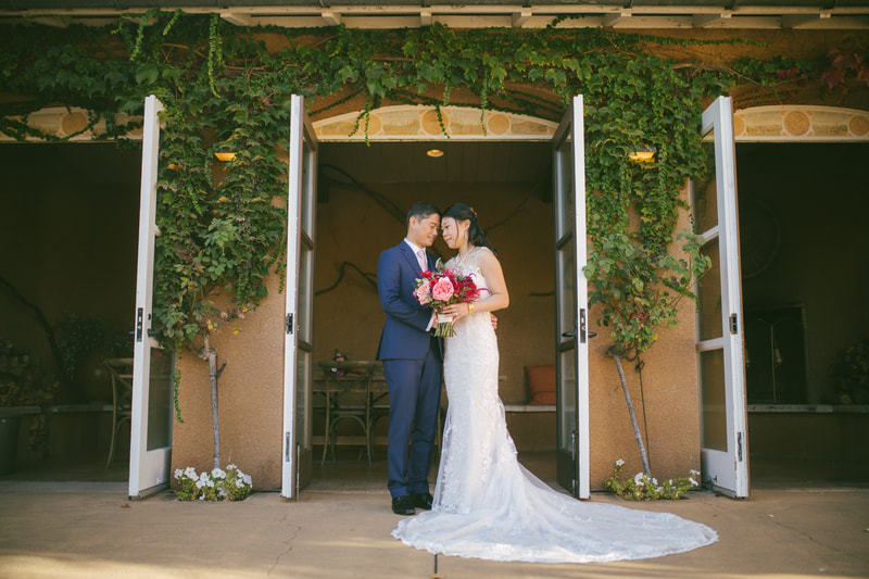 bride and groom portraits at Viansa Winery 